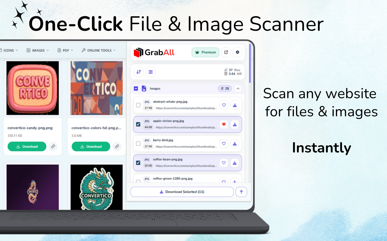 GrabAll scanning a website for downloadable files and images